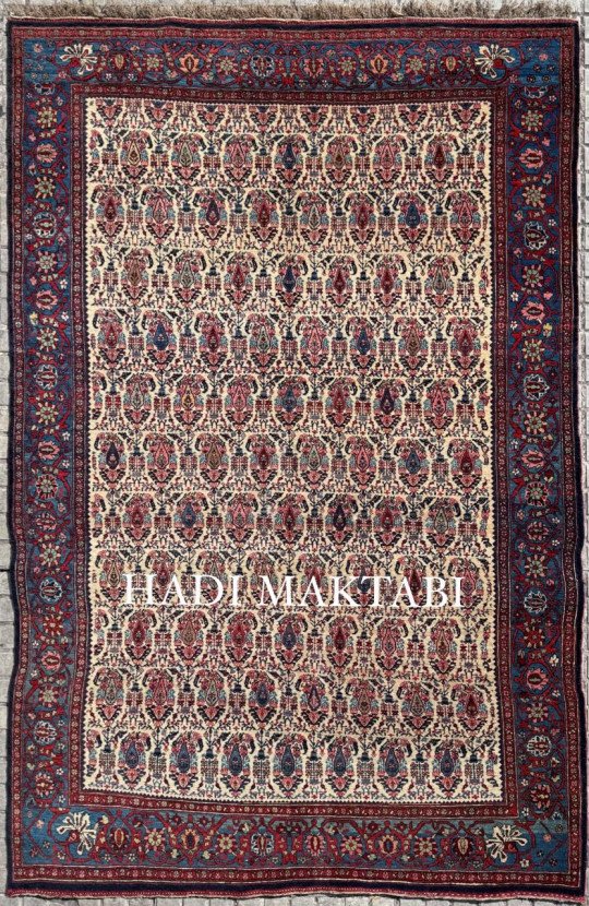 IVORY BIJAR HALVAI