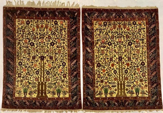 GOLDEN NEYRIZ PAIR