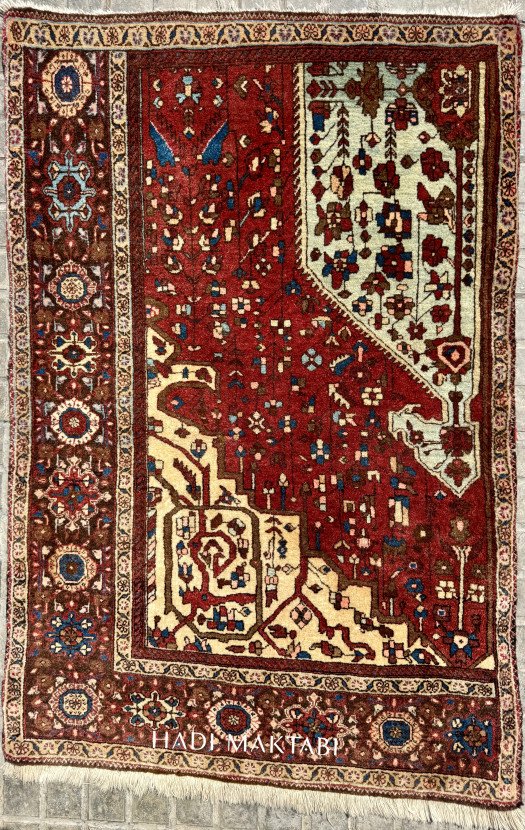 SARUK VAGIREH