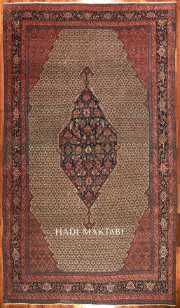 XXL Malayer Bibikabad